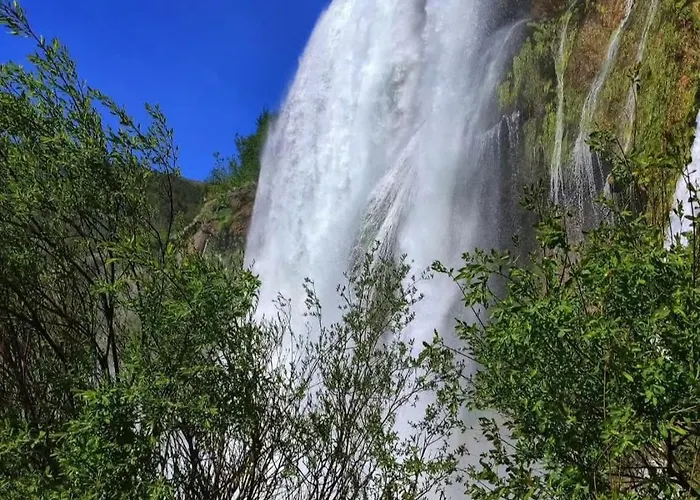 Appartement Misir In Downtown *